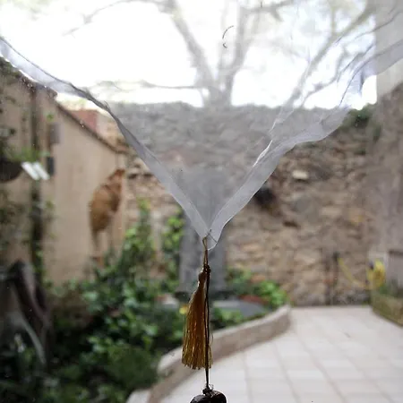 Chris Holiday home *